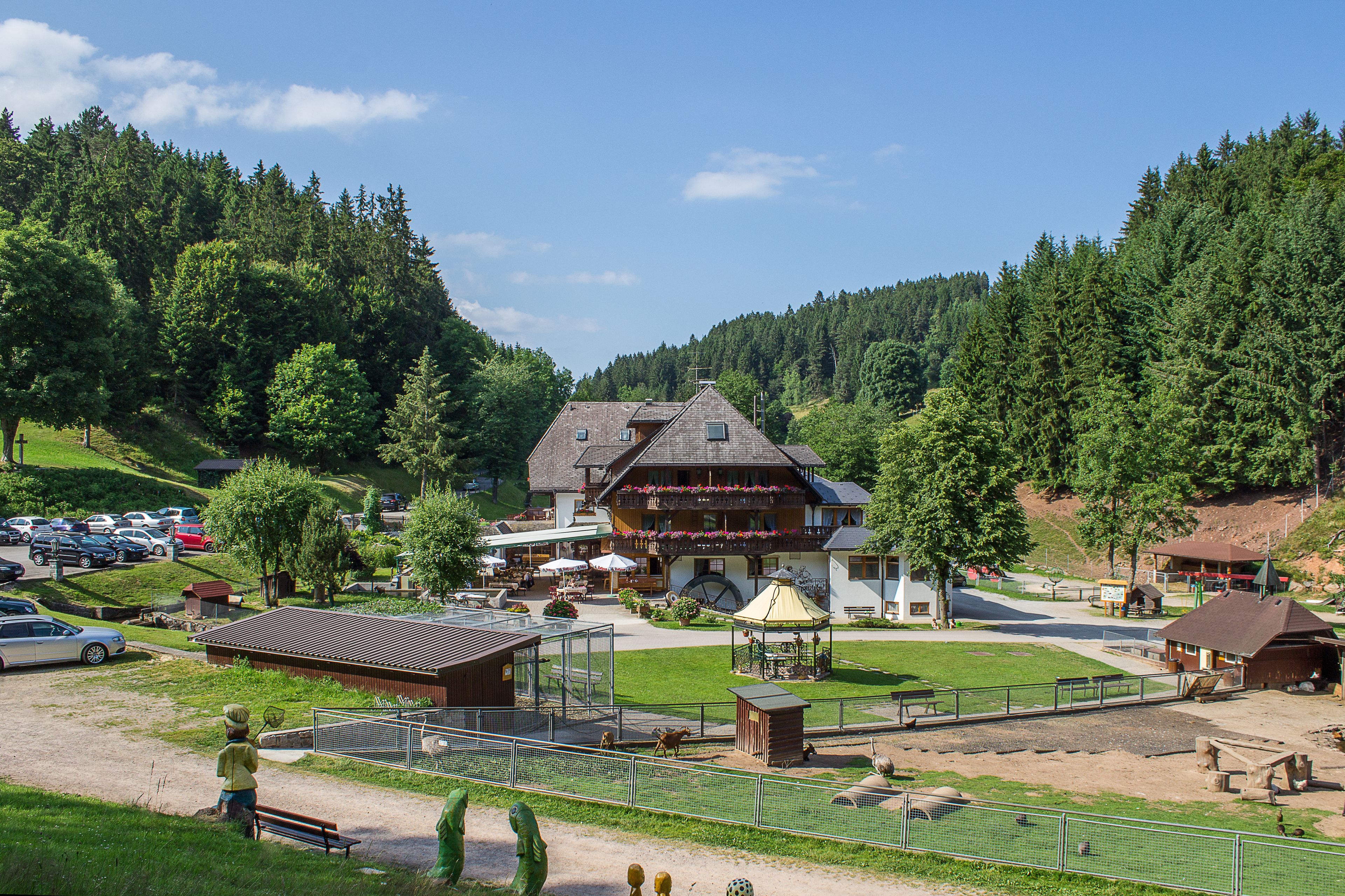 Hotel Tannenmühle in Grafenhausen, Germany