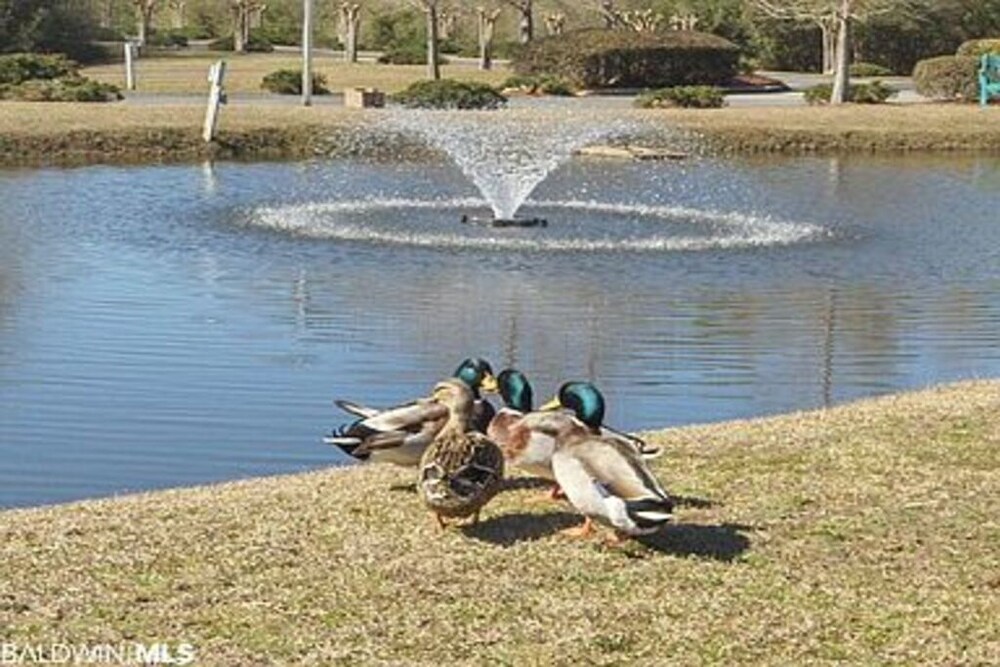 Vitamin Sea at Colony Club at Drakes Landing in Gulf Shores Best