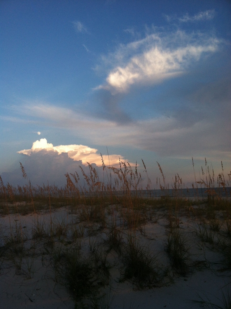 Vitamin Sea at Colony Club at Drakes Landing in Gulf Shores Best