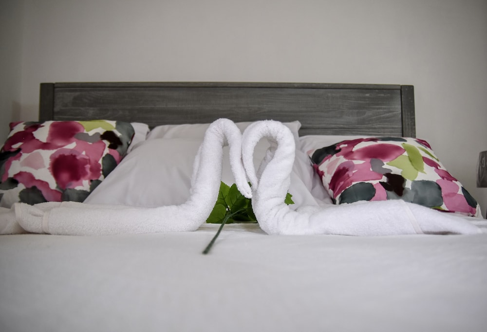 Luxury Master Suite Apartment in City of Roseau Saint Parish