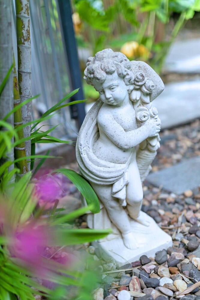 Darwin Style Tropical Luxury by the Foreshore