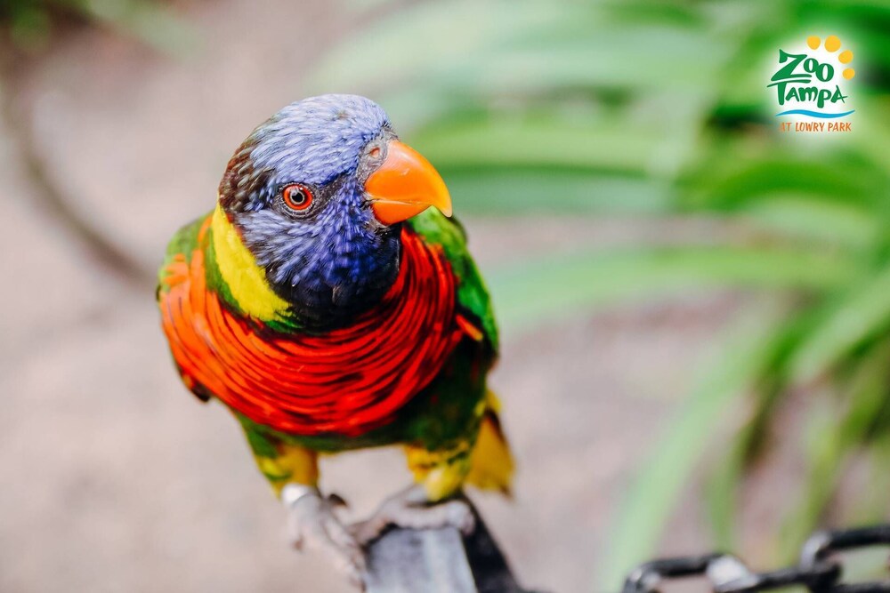 Shell Haven B - Quiet & Relaxing Waterfront Condo