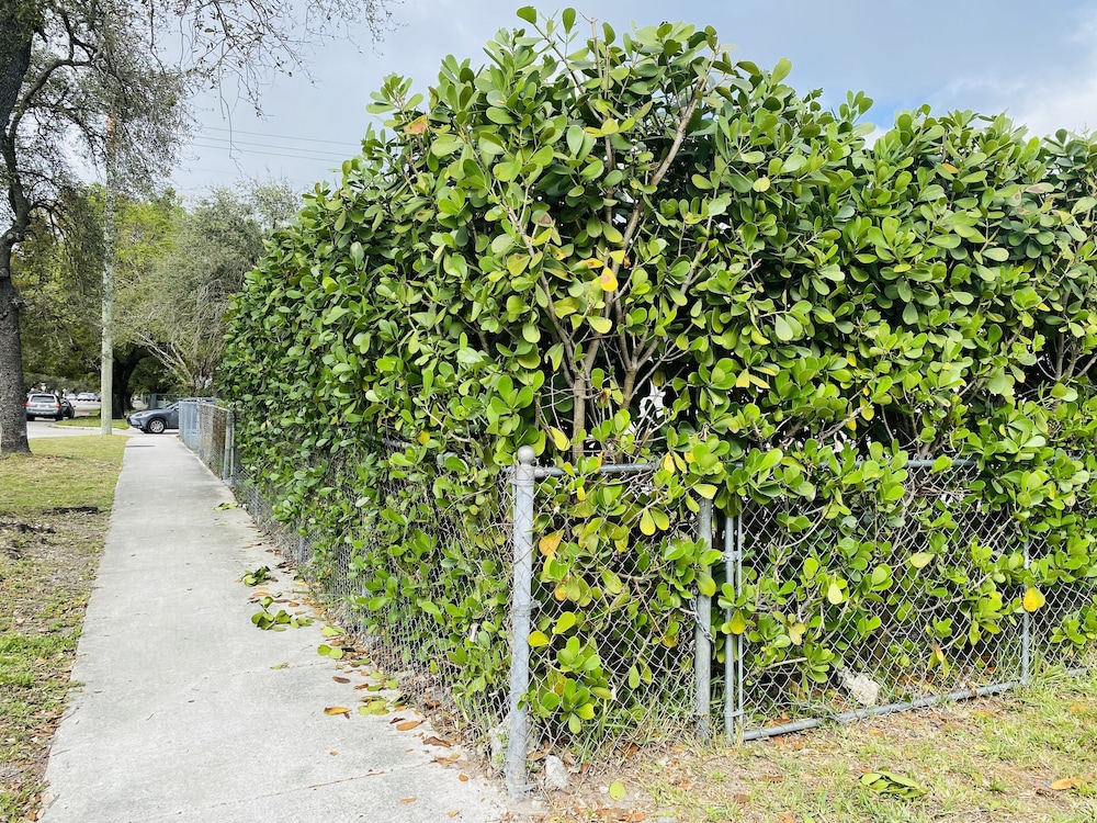 Wynwood (298) 2bedrooms/ 2baths/ 5beds