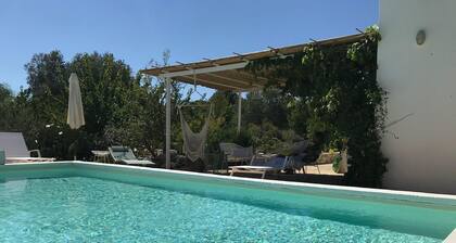 2194 Trulli Kalios