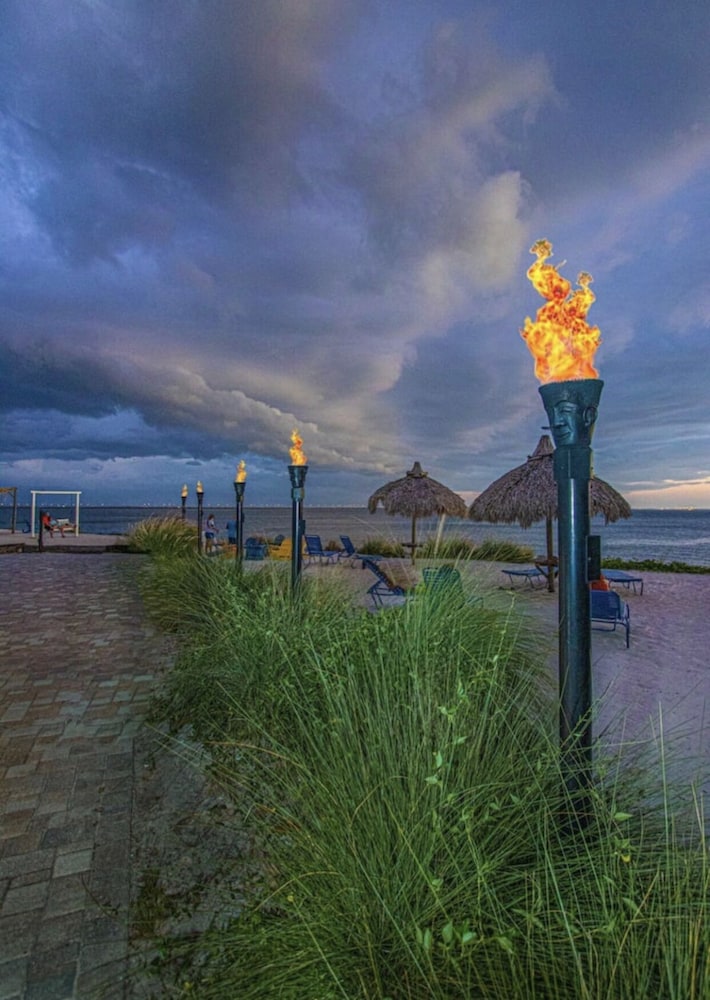 449- NEW LISTING! ☀️ Heated Pool! Water Views! 2 min to TPA Airport