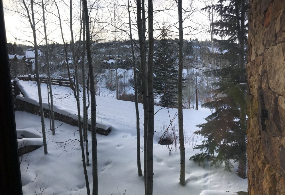 Ritz-Carlton Beaver Creek -- LUXURIOUS, SLOPESIDE LODGE- (Pet Friendly)