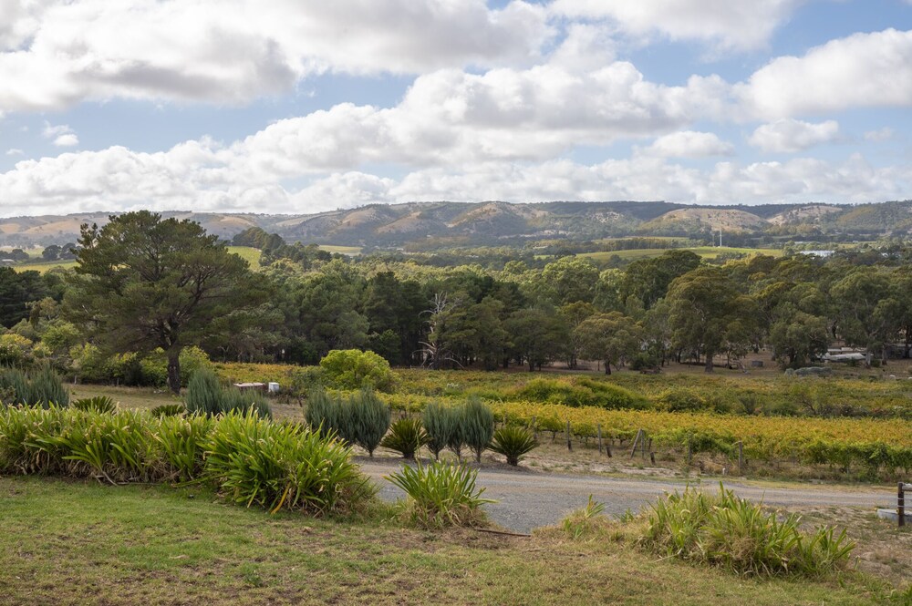 Vineyard accommodation with stunning views
