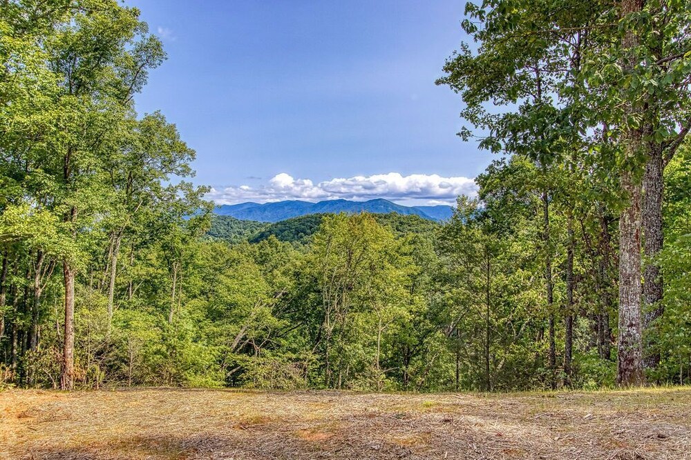 SPECTACULAR VIEWS!  Black Light Mini-Golf, Full Game Room, Theater, Fire Pit.  FULLY UPDATED 2021!!!
