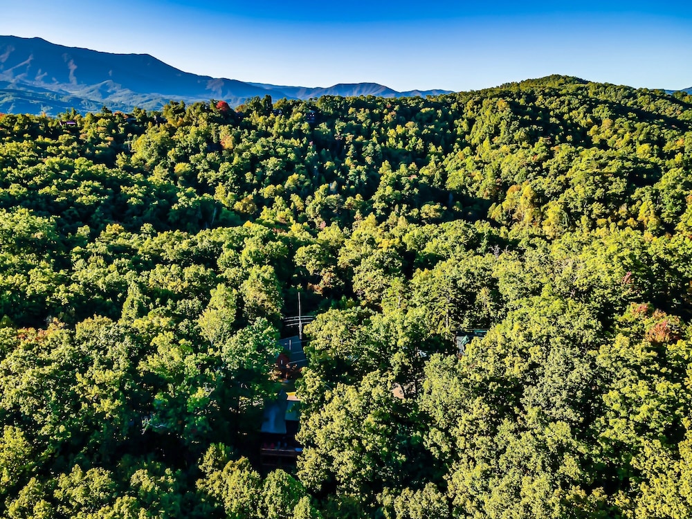 Couples Retreat 🏞️. Real Log Cabin In The 🌳