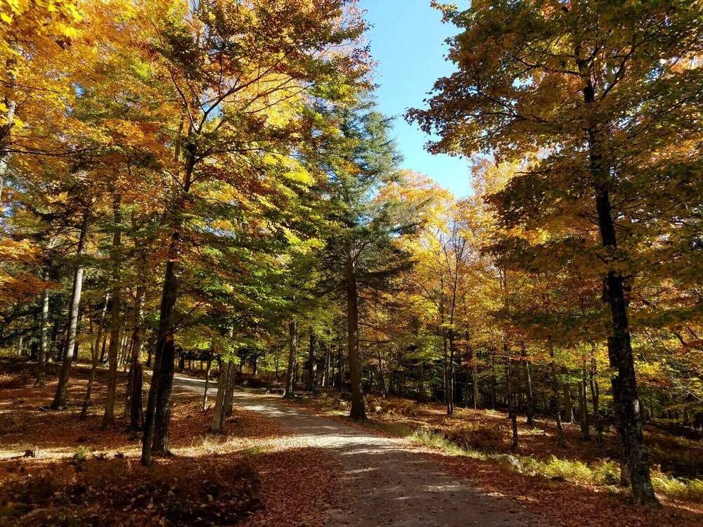 Kiwassa Lake - Private, Waterfront, Walking Trails, Whiteface