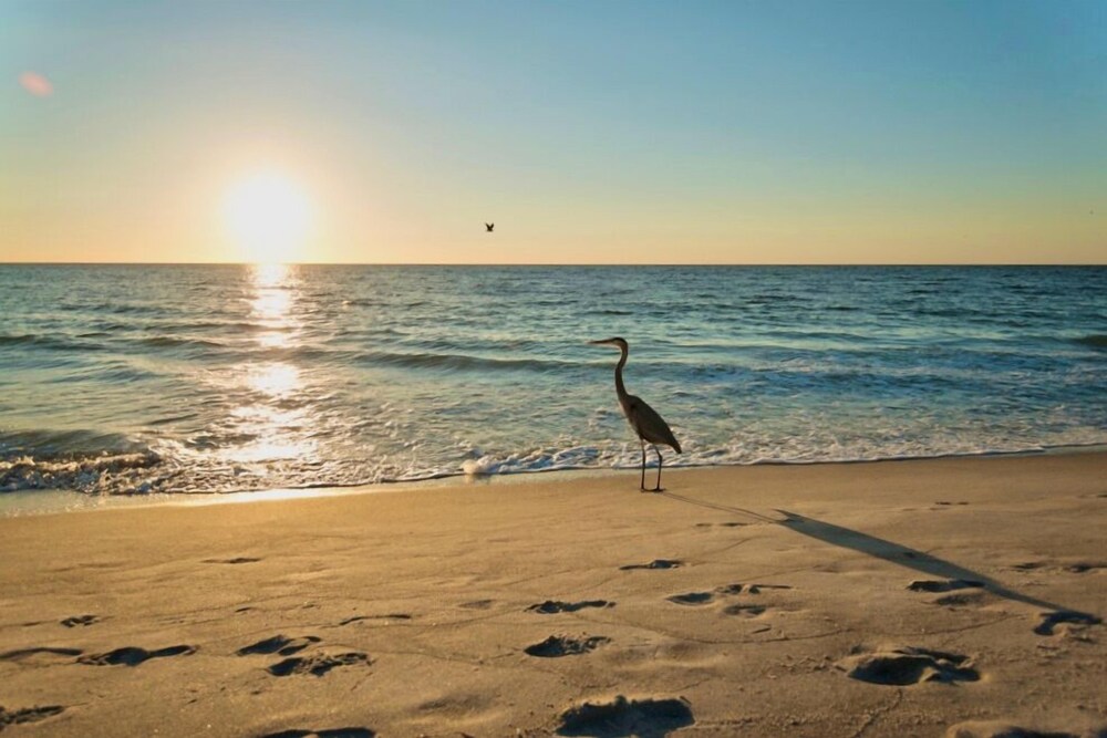 Gulf Views - No Stairs - Directly “On the Beach” - Jensen's "On the Gulf" - Cozy Suite 1