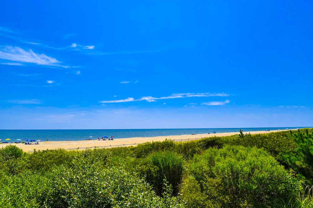 Sea Del Estates Retreat Right On the Beach w/Free WiFi & Private Washer & Dryer