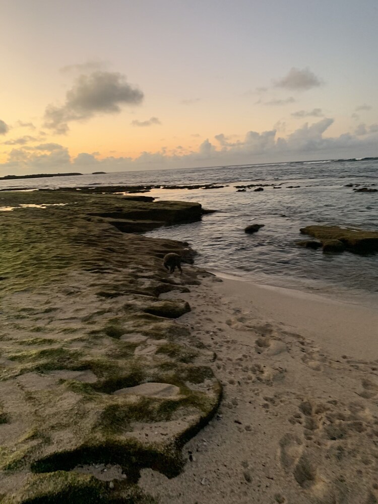 Cozy & Peaceful North Shore Oasis at Turtle Bay