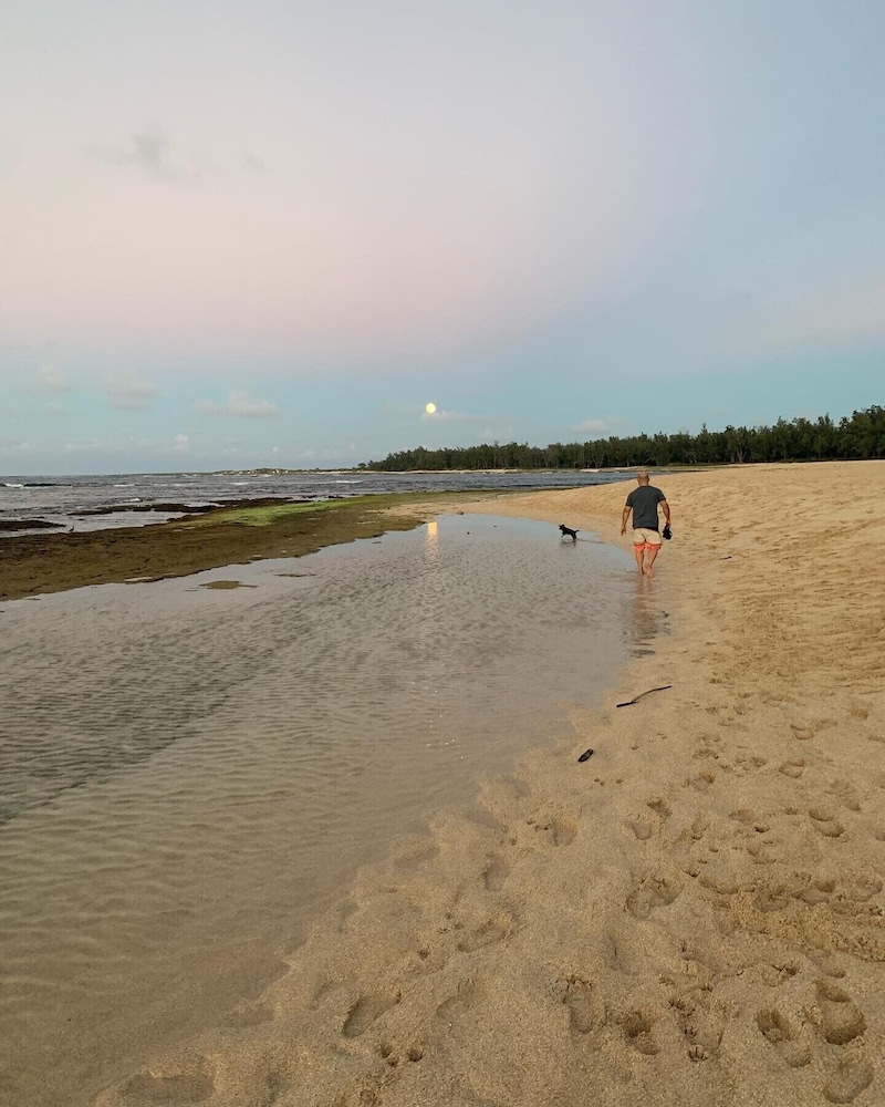 Cozy & Peaceful North Shore Oasis at Turtle Bay