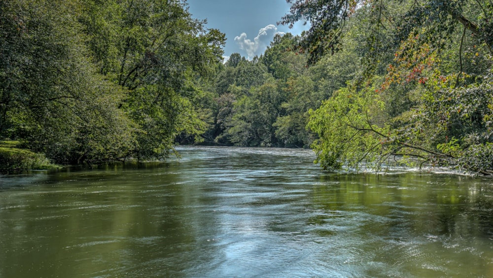 Rivers Edge by Escape to Blue Ridge