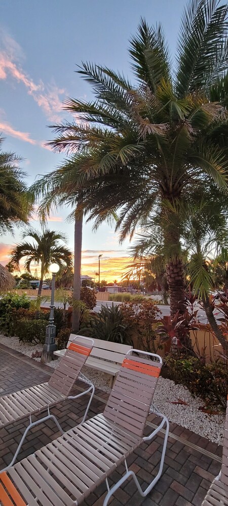 Satellite Motel - Daze Off 105