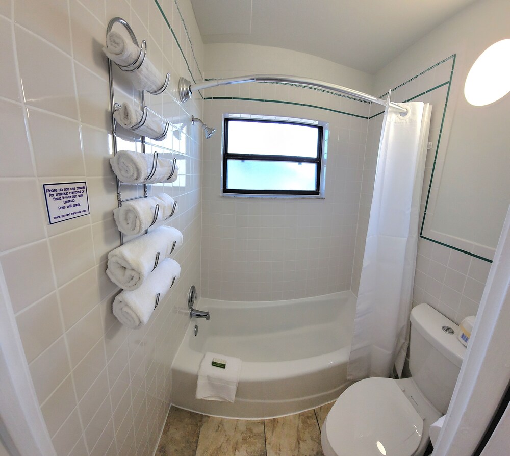 Satellite Motel - Daze Off 105