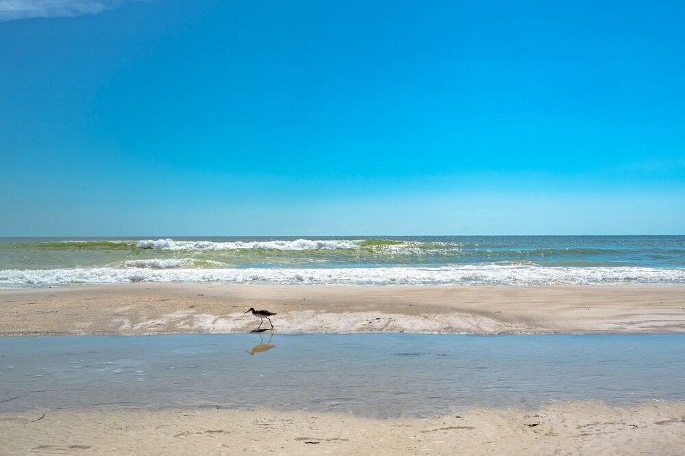 Harbor House 37, 1 Bedroom, Pool, Grill, WIFI, Sleeps 3