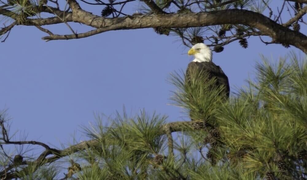 Clean Breathtaking Waterfront deck view lake/mountains<br>400 Farr Shores unit 6B