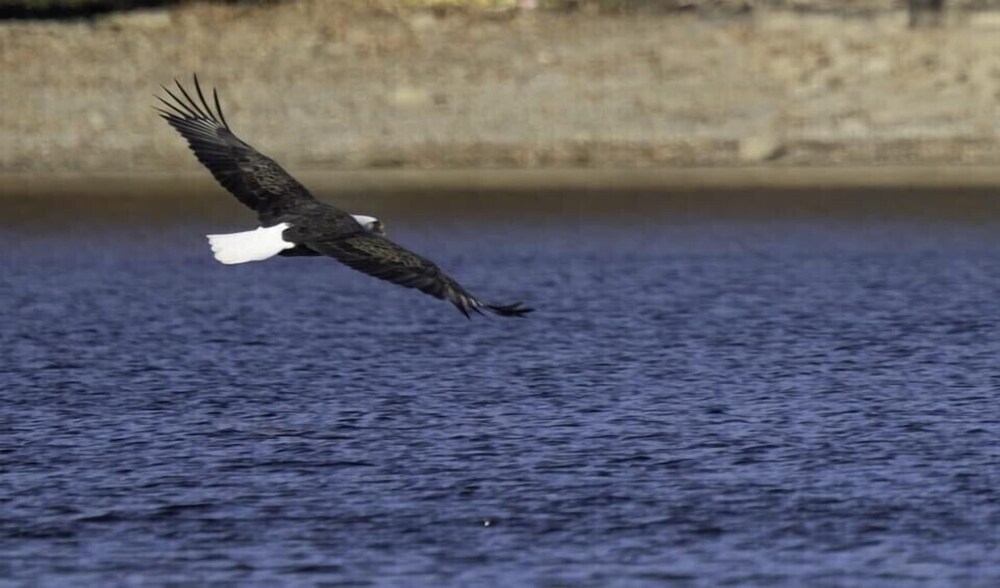 Clean Breathtaking Waterfront deck view lake/mountains<br>400 Farr Shores unit 6B