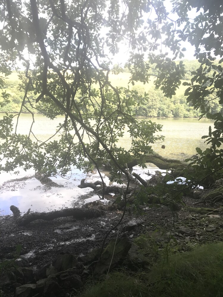 Stunning 2-bed Apartment in Newton Abbot