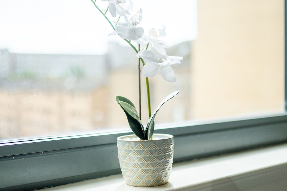 Charming Finnieston - Hydro City Centre Apartment