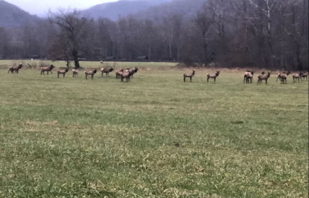 Ian’s Getaway, Hiking, motorcycle friendly, whitewater rafting, Casino,GSMRR!