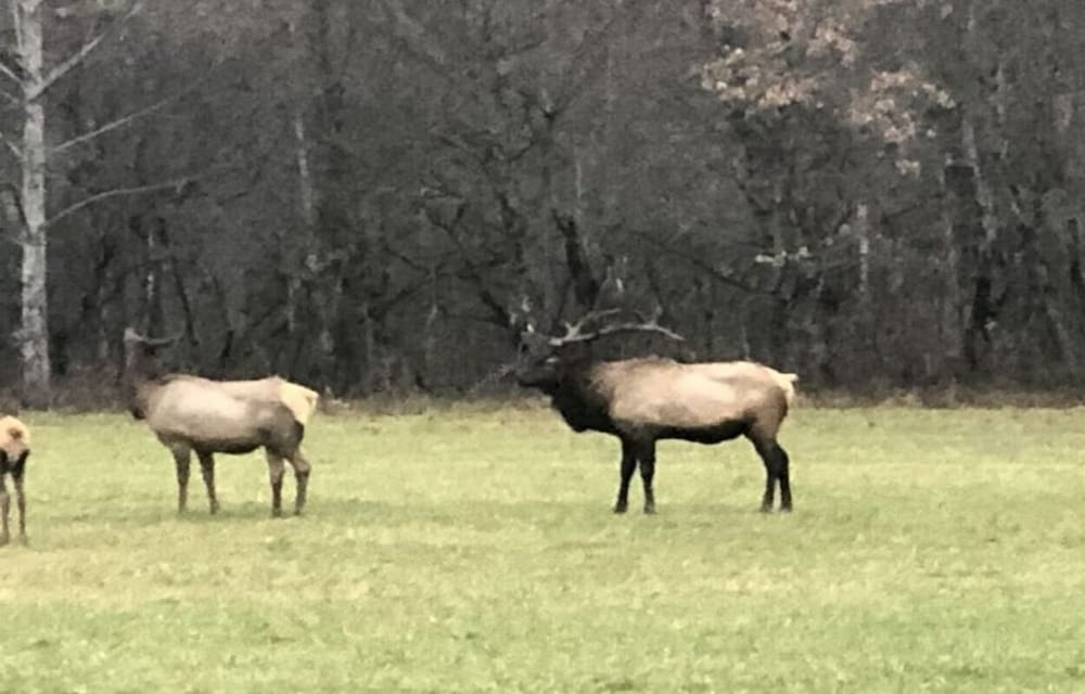 Ian’s Getaway, Hiking, motorcycle friendly, whitewater rafting, Casino,GSMRR!