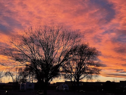 pet friendly hotels in la junta co