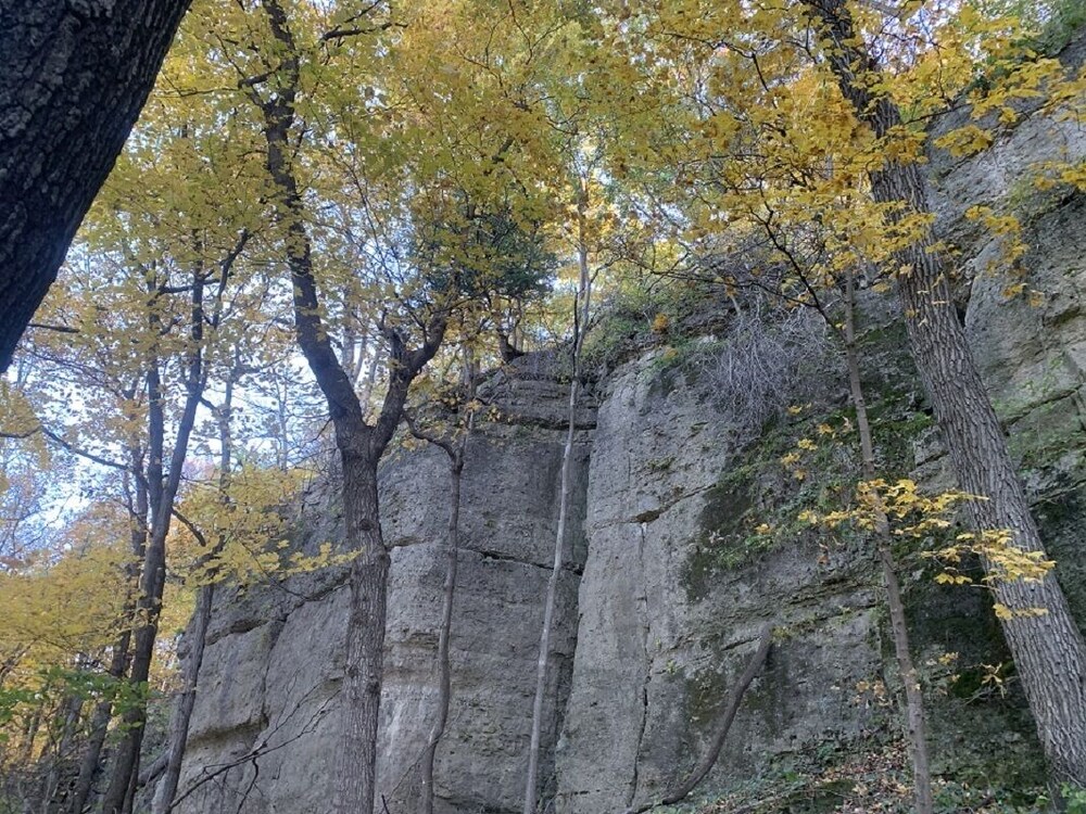 Riverview Ranch & Resort - Apt 2