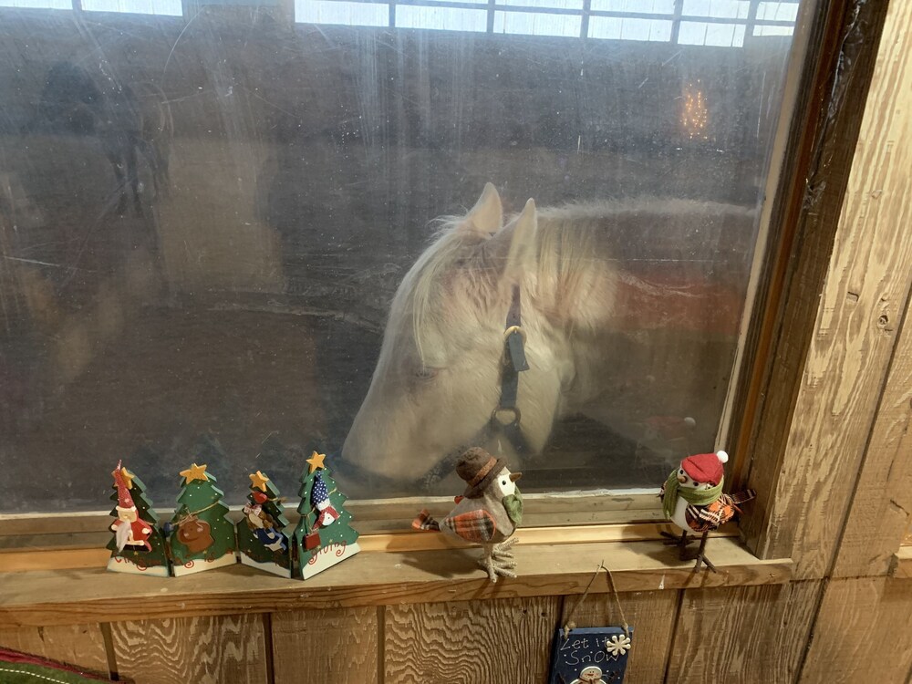 Riverview Ranch & Resort - Apt 2