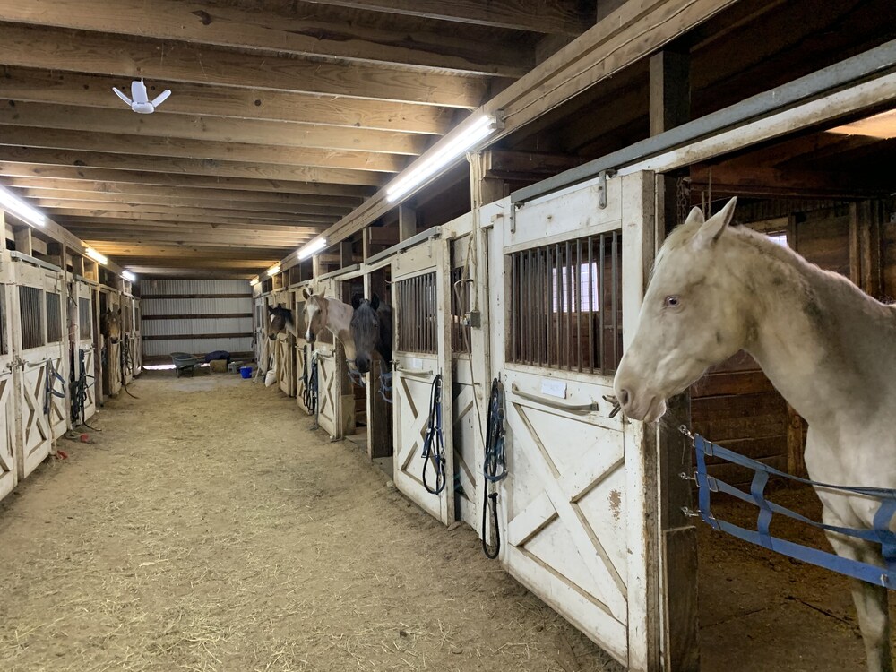 Riverview Ranch & Resort - Apt 2