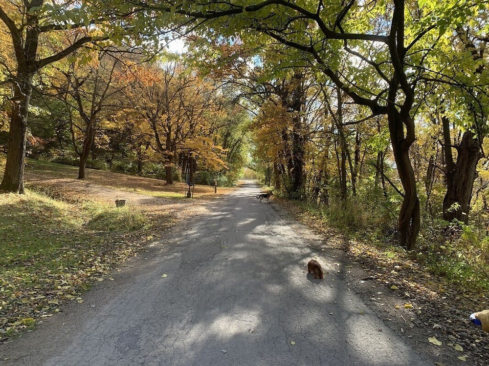 Riverview Ranch & Resort - Apt 2