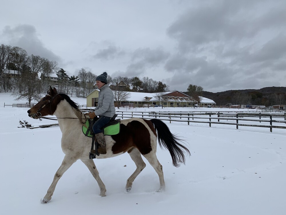 Riverview Ranch & Resort - Apt 2