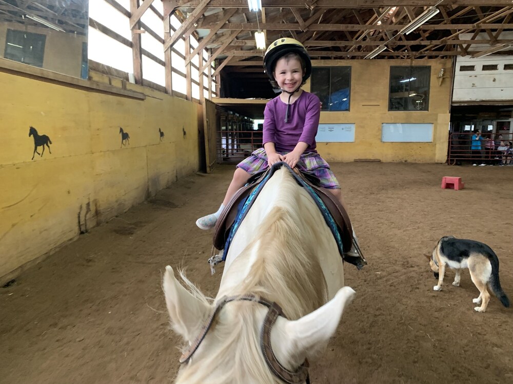 Riverview Ranch & Resort - Apt 2