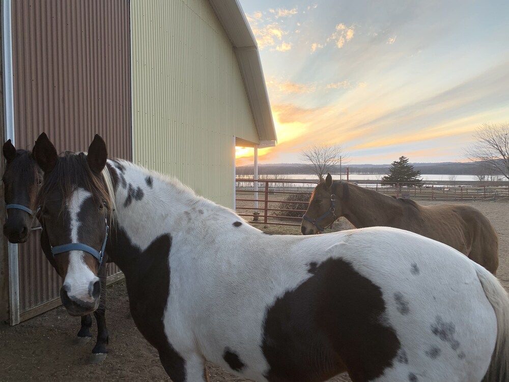 Riverview Ranch & Resort - Apt 2