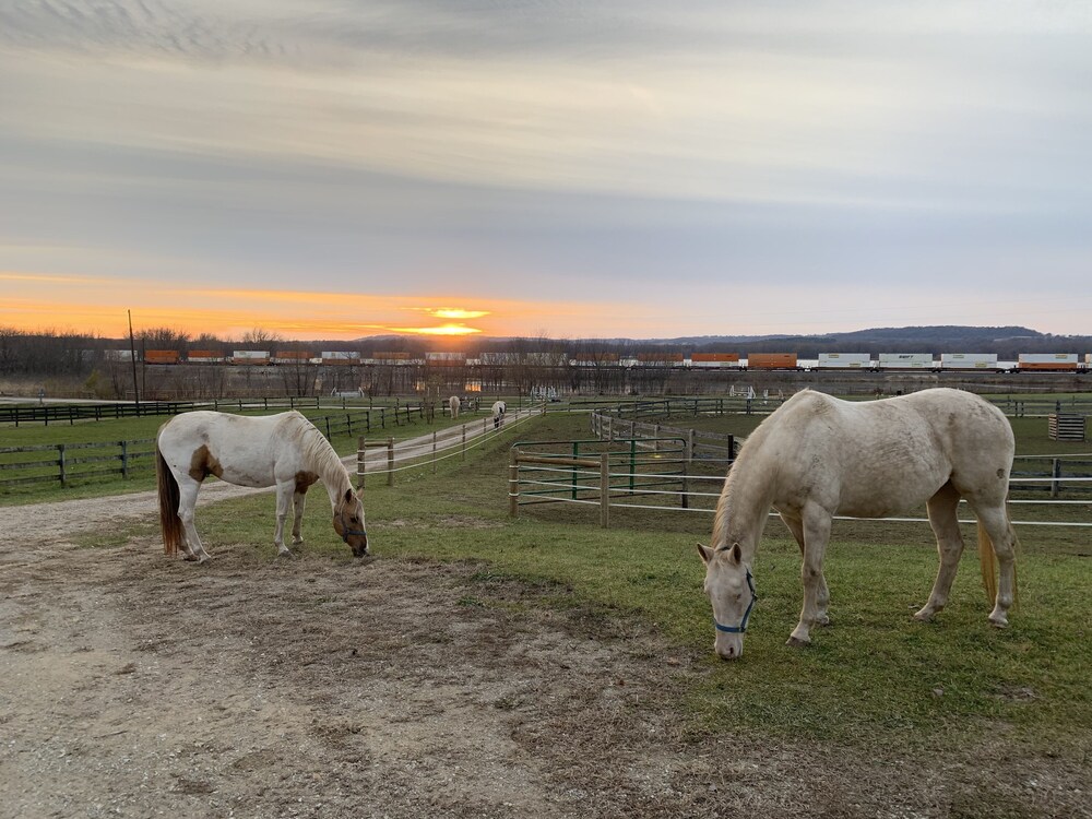 Riverview Ranch & Resort - Apt 2