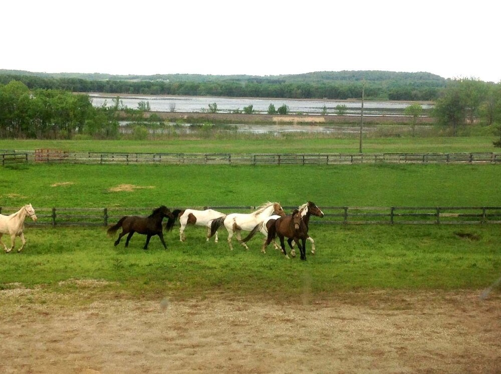 Riverview Ranch & Resort - Apt 2