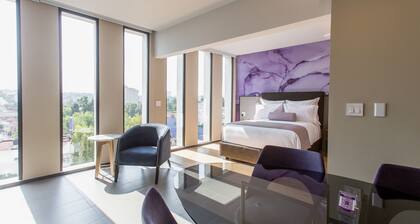 HS HOTSSON Hotel CDMX Condesa Sur