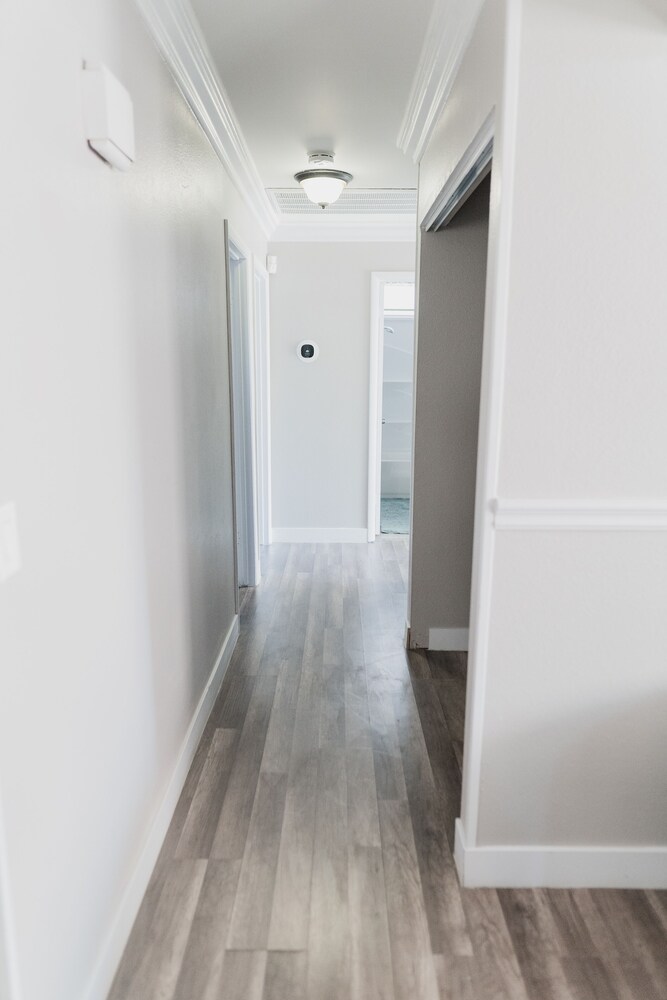 Perfect Vacation House | Backyard Oasis w/ Pool | Newly Remodeled