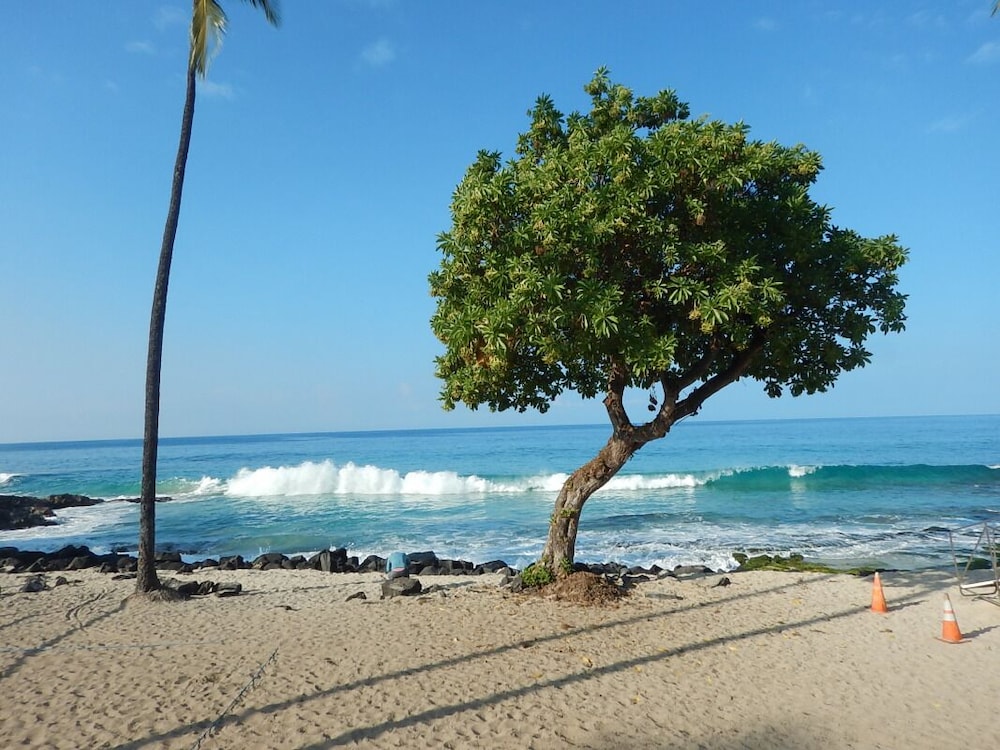 Kona Coast Adventure! Oceanfront, Just Minutes to Haleo Luau, Keauhou Bay