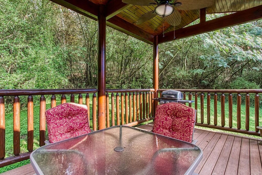 Papa Bear (New Listing) Hot Tub, Free attraction tickets!!!