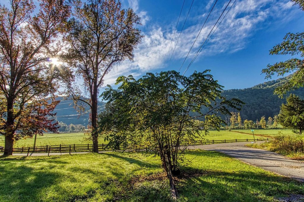 Papa Bear (New Listing) Hot Tub, Free attraction tickets!!!