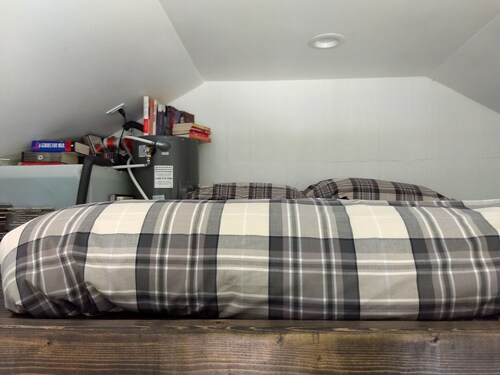Catskills Tiny House Cabin - Livingston Manor, NY