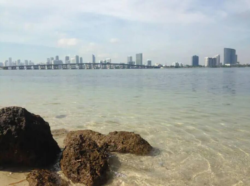 Morningside Treehouse Studio 2022