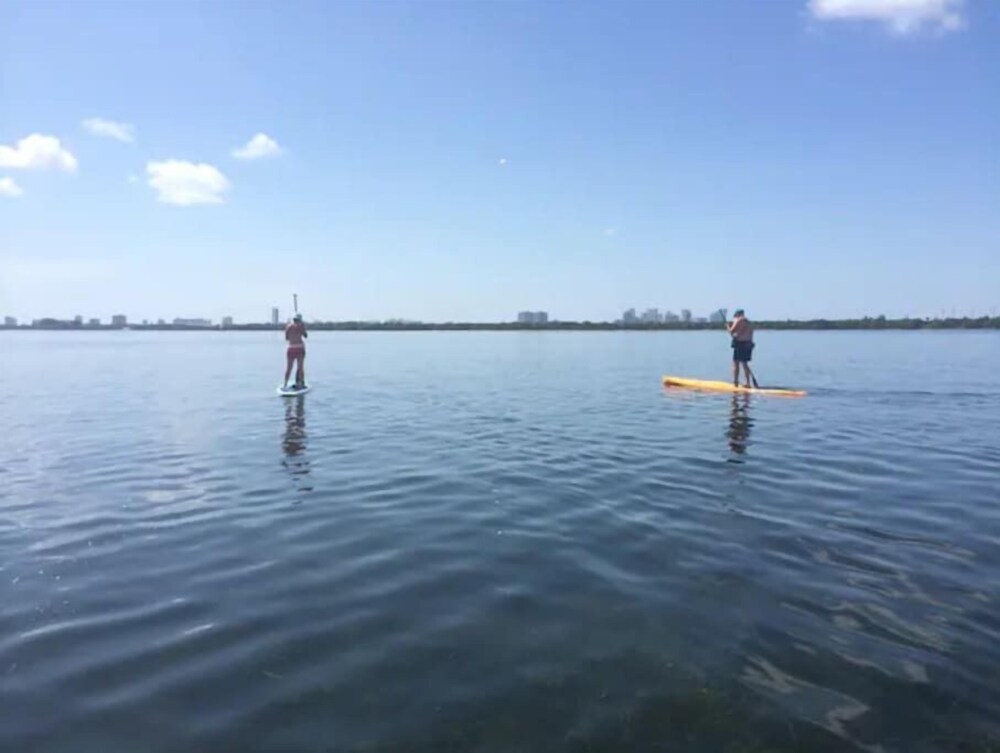 Morningside Treehouse Studio 2022