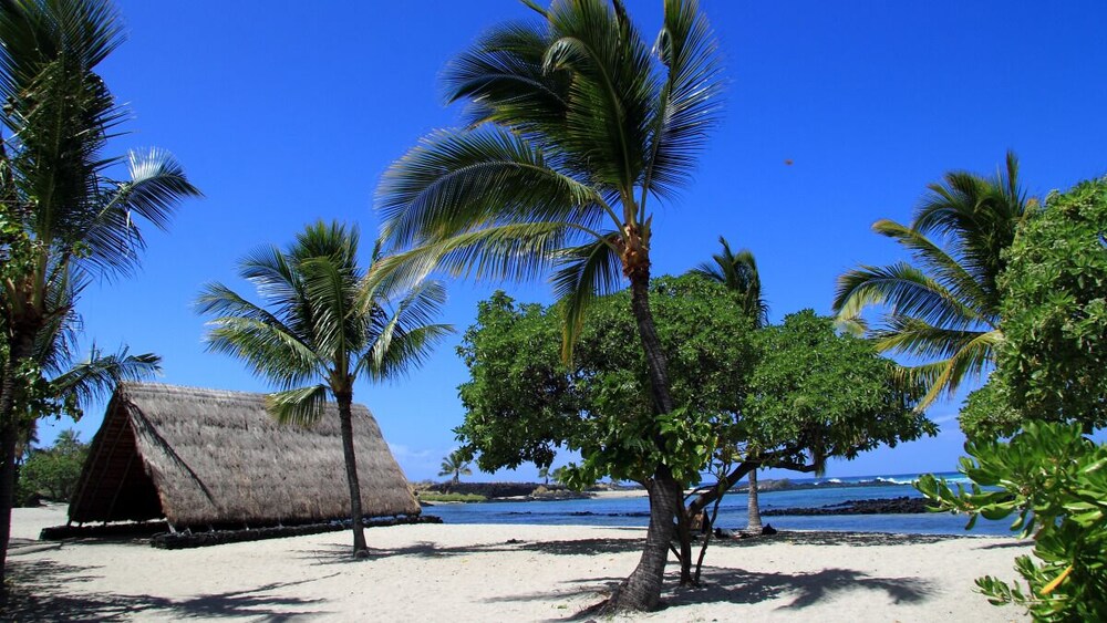 Just Steps From Sun, Sand, and Surf! Ocean View, Spa, Near Pahoehoe Beach Park