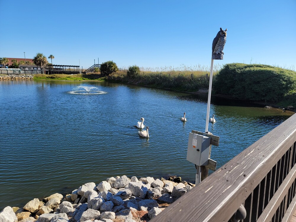 Myrtle Beach Vacation