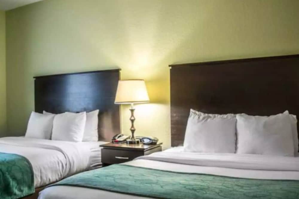 Suite/Busch Gardens/Casino/Tampa.Have Fun in Style