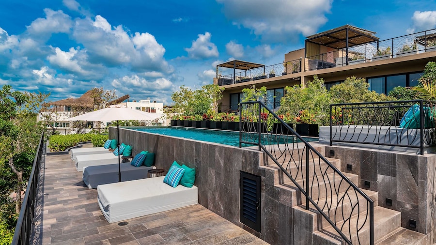 Luxury Apartments at Arcadia